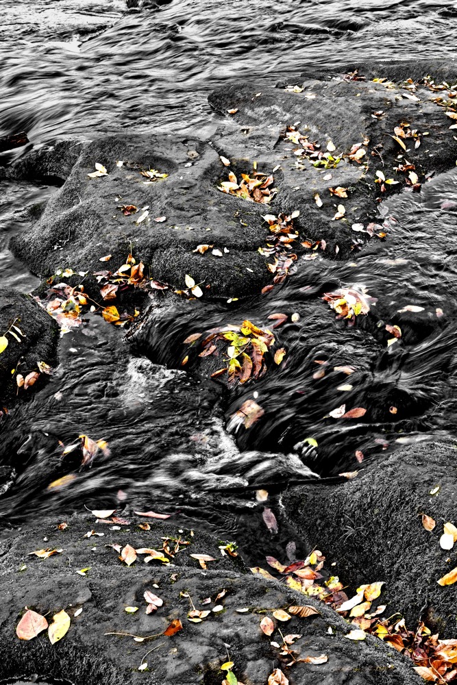 Willamette River in Fall. Eugene, Oregon