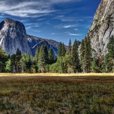 Yosemite Meadow.jpg