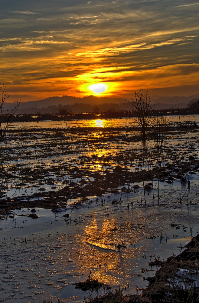 Fern Ridge Lake in Winter. Eugene, Oregon