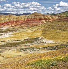 Painted Hills (1).jpg