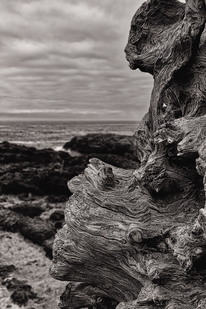 Cape Perpetua, Oregon