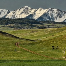 Montana.jpg