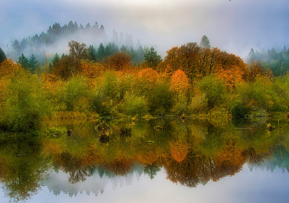 Reflection. Noti, Oregon