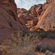 Valley of Fire.jpg