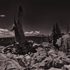 McLoughliin - 1.jpeg