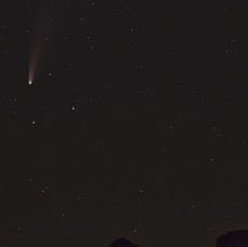 NEOWISE - 1 (2).jpeg