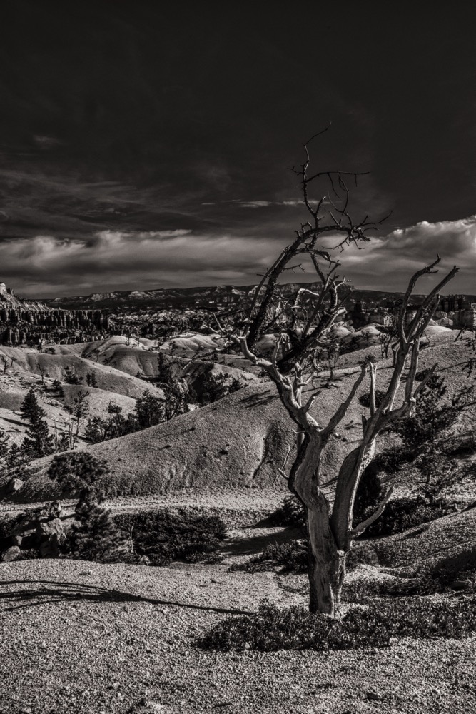 Bryce Canyon N.P.