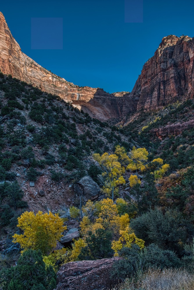 Zion N.P.