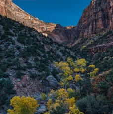 Zion - 1 (2).jpeg