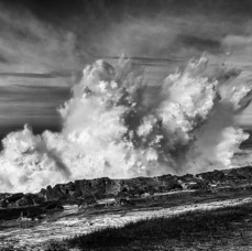 Shore Acres - 1.jpeg