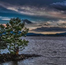 US 20 trip - 1 (8).jpeg