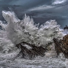 Newport - 1 (1).jpeg