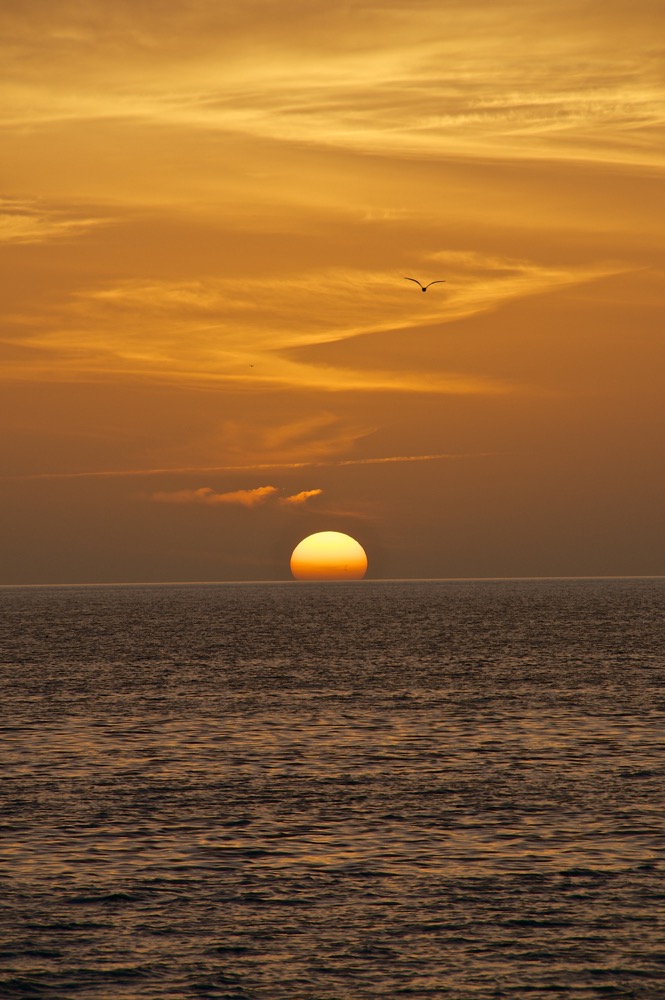 Naples Sunset, Florida